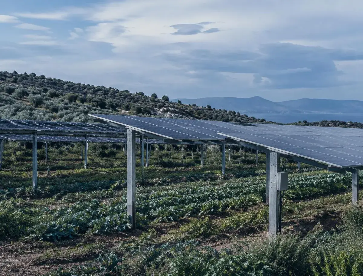 Agrivoltaic solar panels above cultivated land